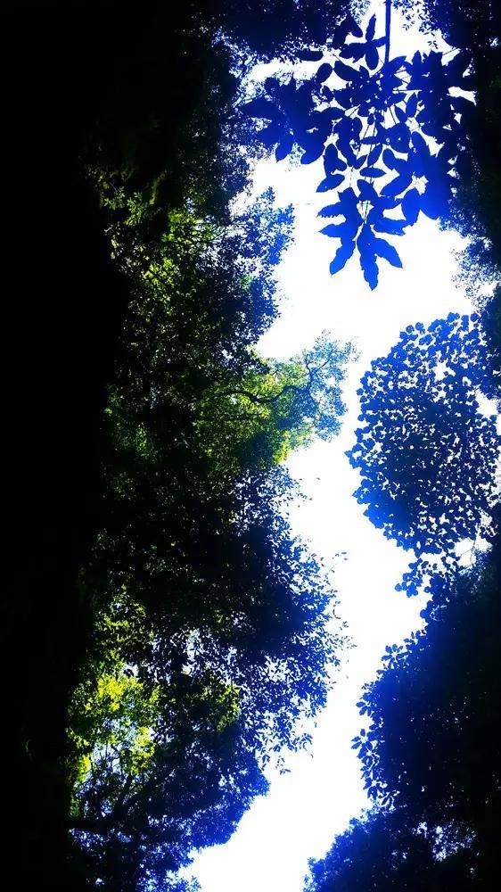 汉王纷争