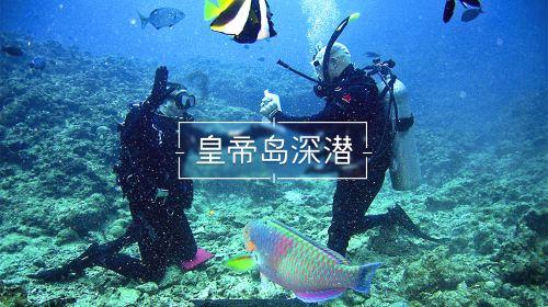 射击怪异人